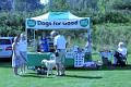 4. Dogs for Good stall